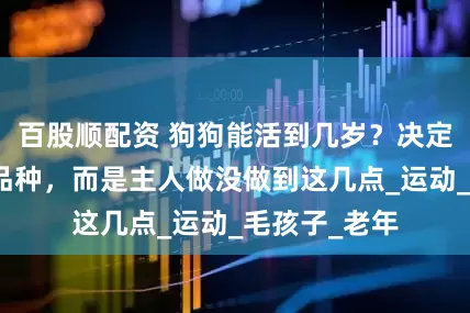 百股顺配资 狗狗能活到几岁？决定寿命的不是品种，而是主人做没做到这几点_运动_毛孩子_老年