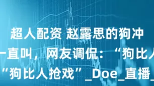 超人配资 赵露思的狗冲着主持人一直叫，网友调侃：“狗比人抢戏”_Doe_直播_宠物